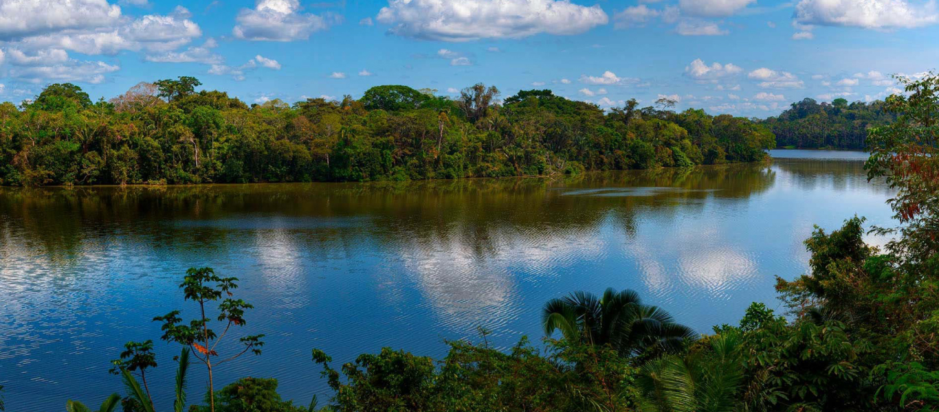 Amazonas